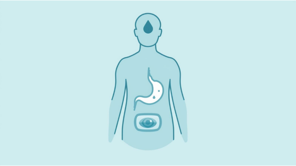 Illustration of a human outline with icons showing hydration, stomach symptoms, and abdominal signals, representing understanding your health information through body cues.